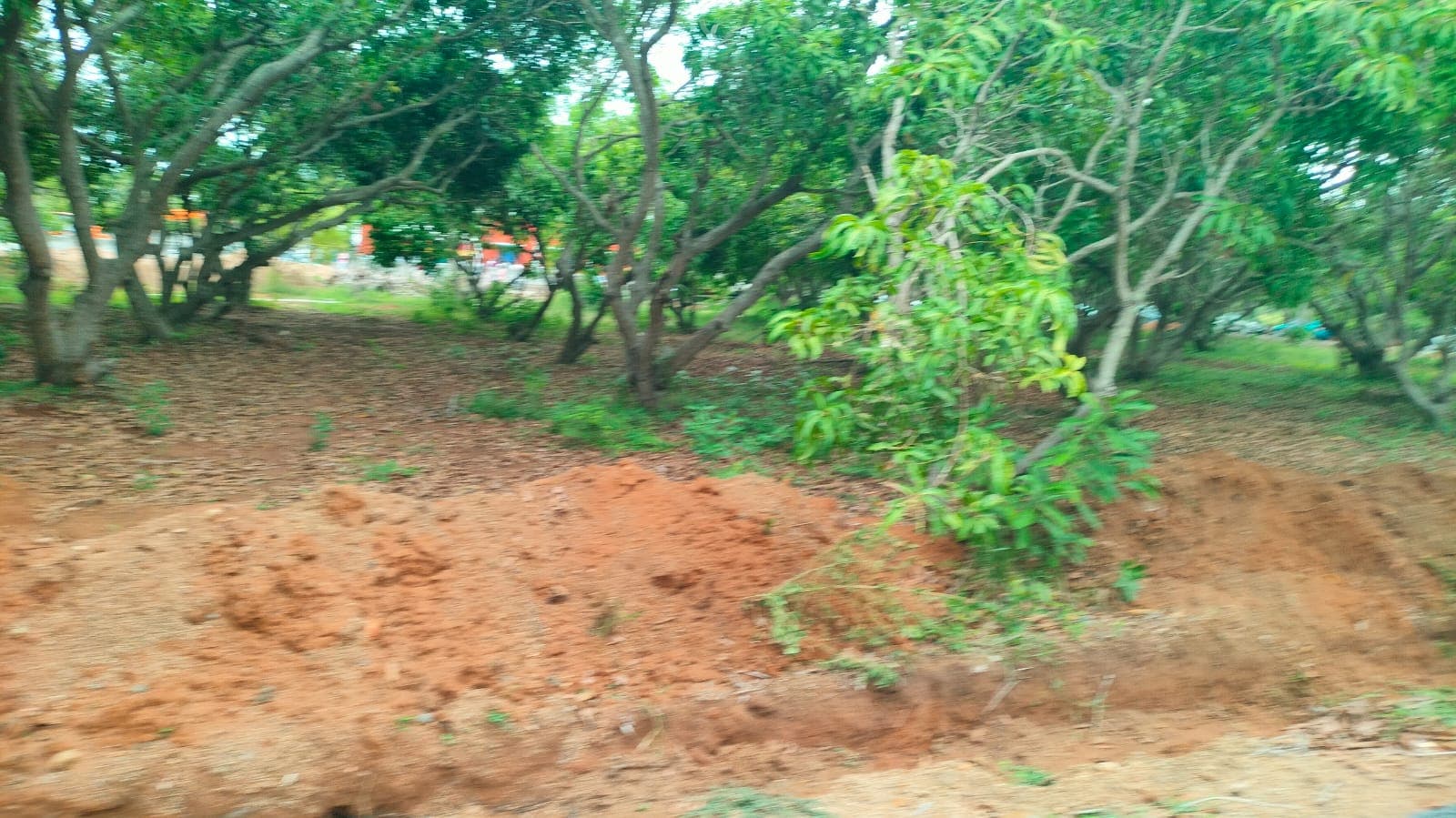 Premium Farm Land for Sale at Madurantakam - Image 7